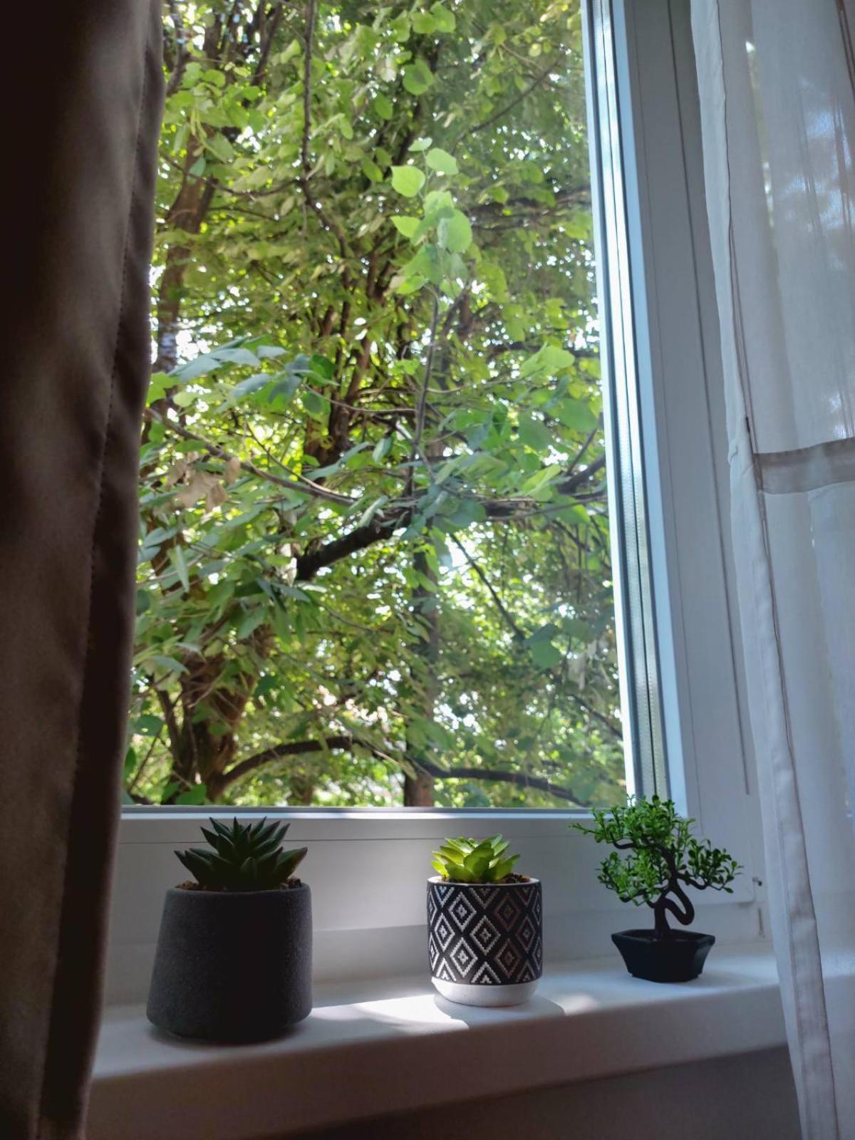 סראייבו Apartman Rejna מראה חיצוני תמונה